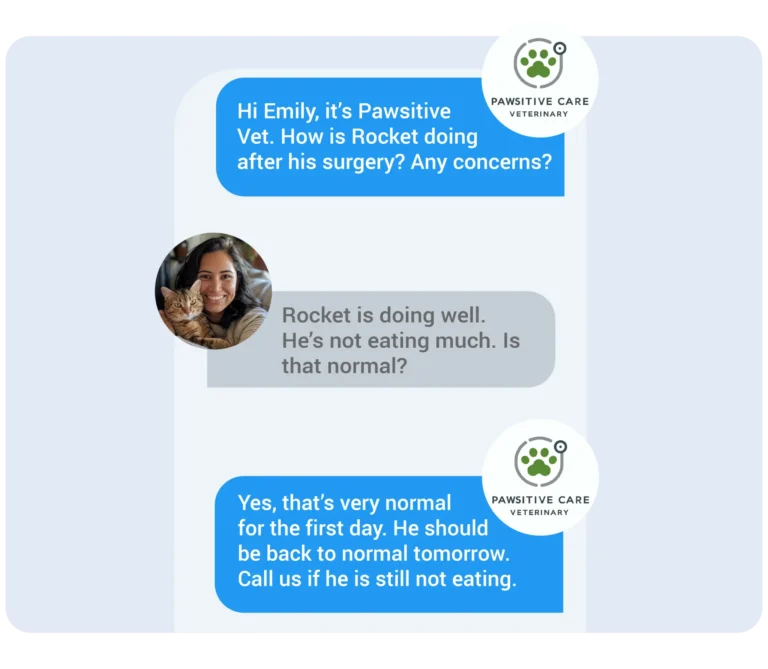 A client using veterinary office reputation management software to communicate with a vet about their pet's health.