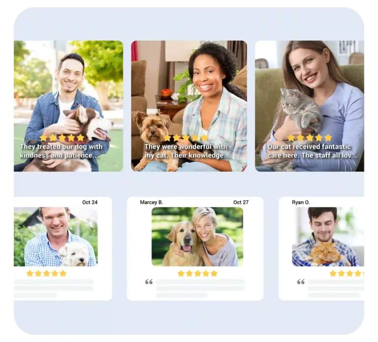 Veterinary office reputation management with client testimonials featuring pet care success stories and five-star reviews.